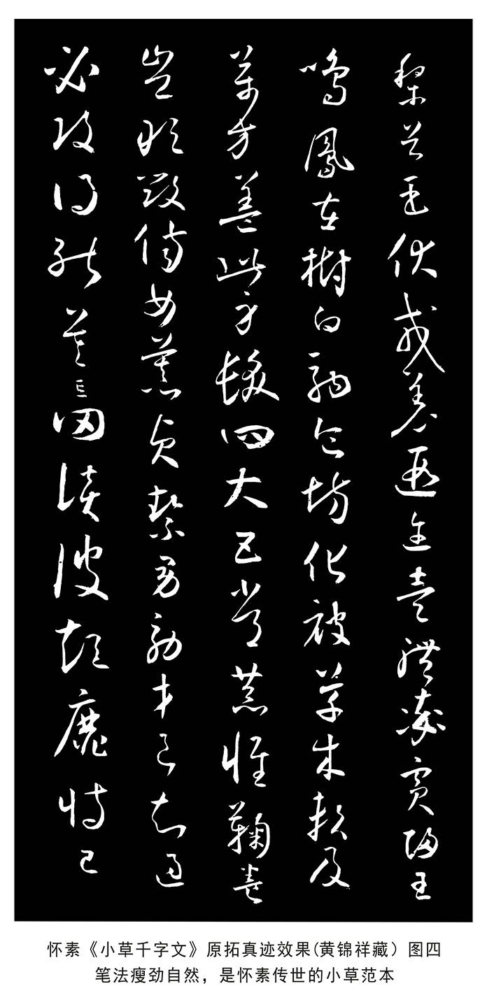 唐代名帖 怀素《小草千字文》真迹被学者黄锦祥发现