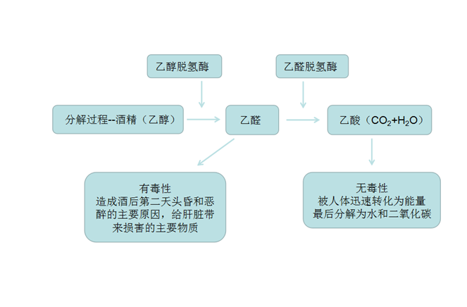 档案的作用