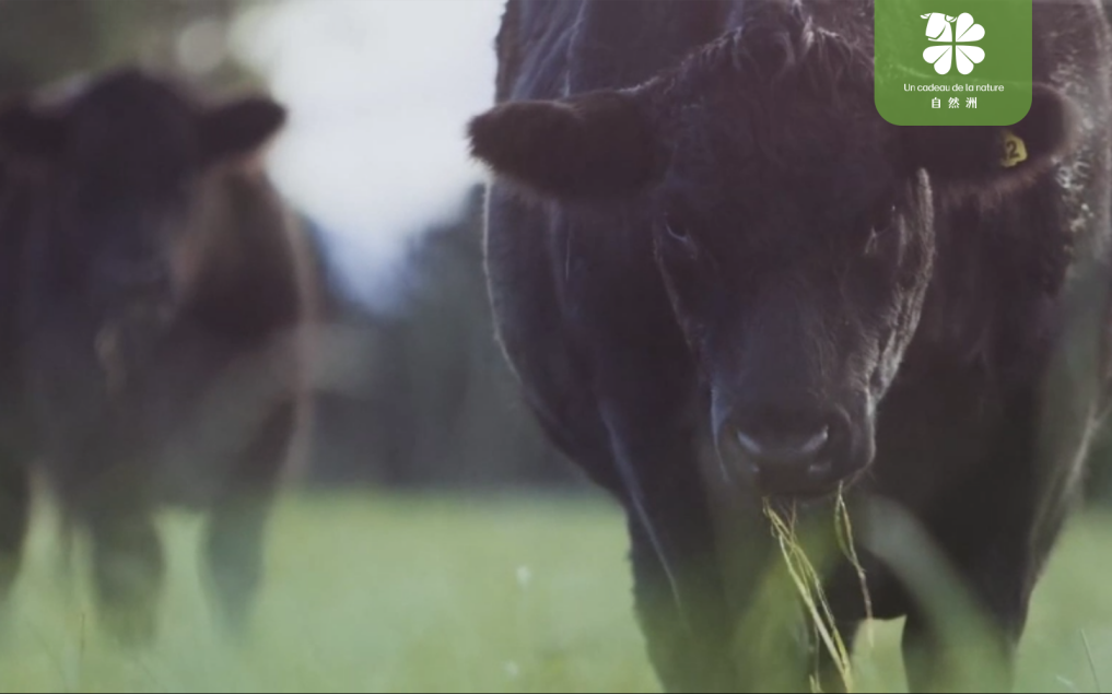 Wechat pictures _20240118180217 Wechat pictures _20240118180217