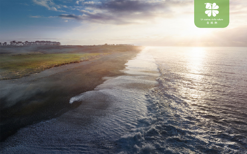 Wechat pictures _20240118180224 Wechat pictures _20240118180224