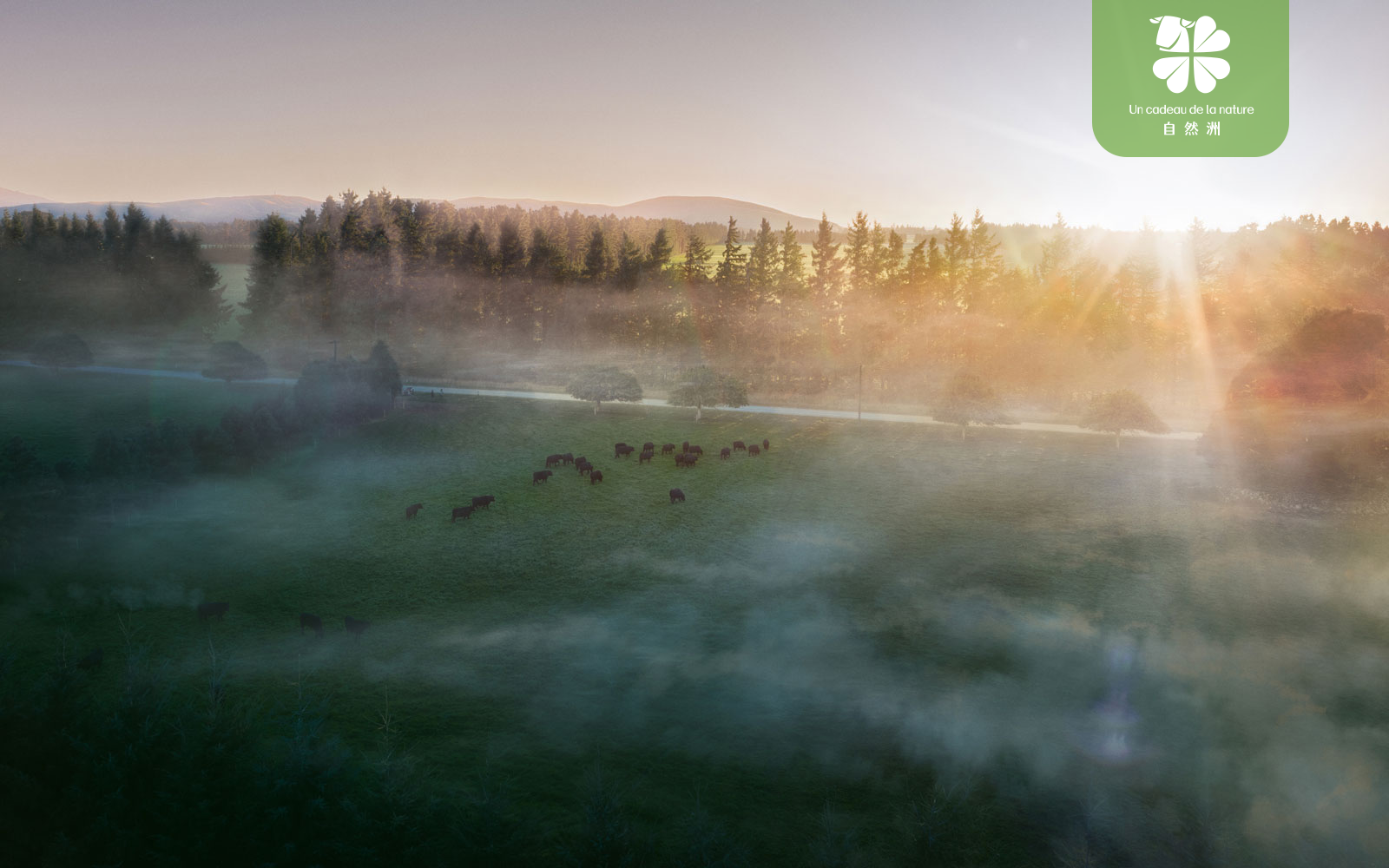 Wechat pictures _20240118180220 Wechat pictures _20240118180220