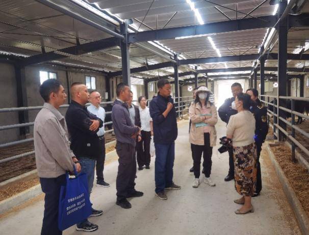 如图片无法显示，请刷新页面