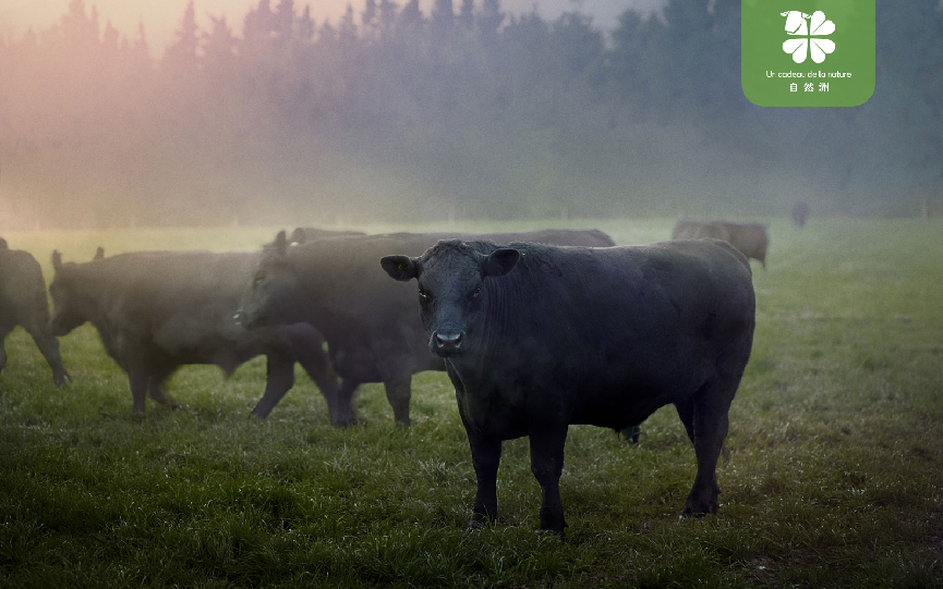 Wechat pictures _20240118180144 Wechat pictures _20240118180144