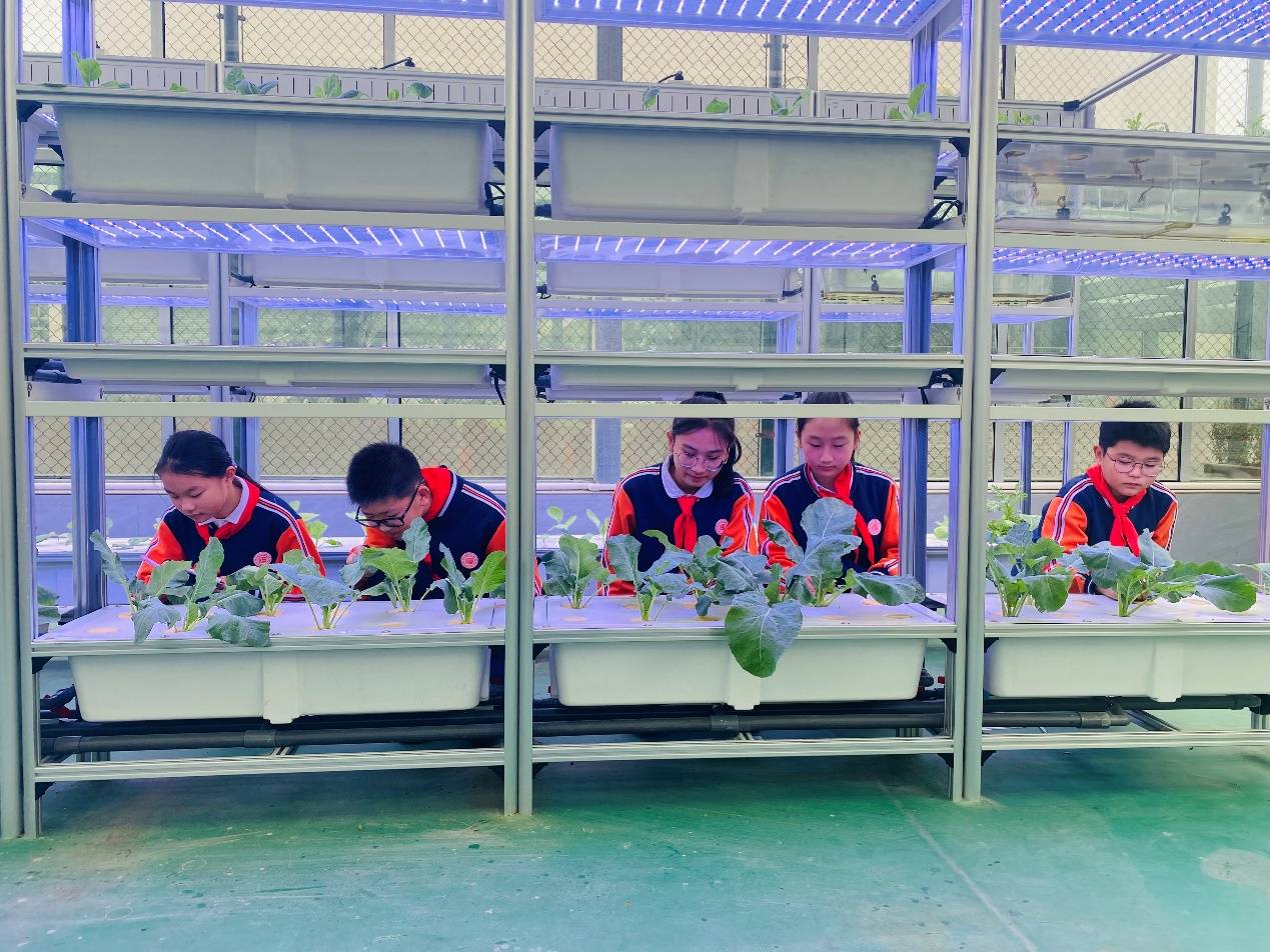 如图片无法显示，请刷新页面