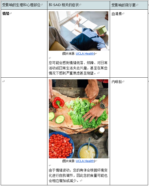 如图片无法显示，请刷新页面