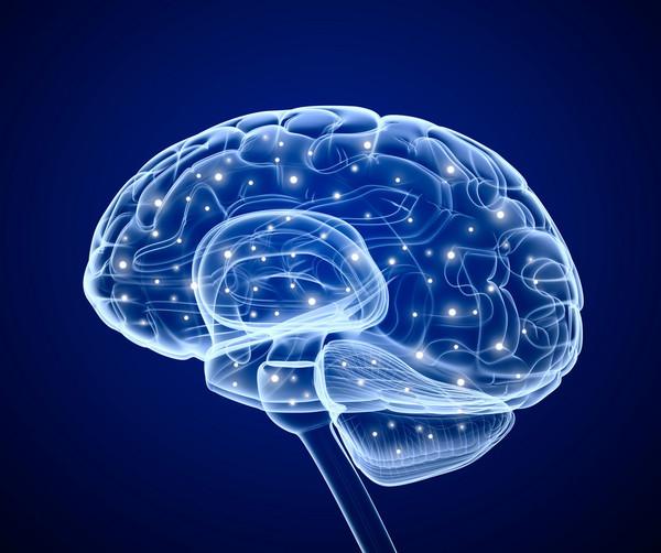 “大脑肥料”BDNF脑源性神经营养因子,打开脑抗衰风暴